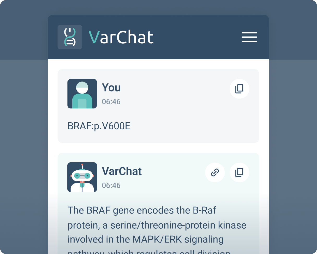 Varchat overview 02